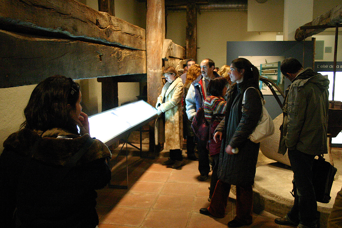 Visita guiada a un molí d'oli