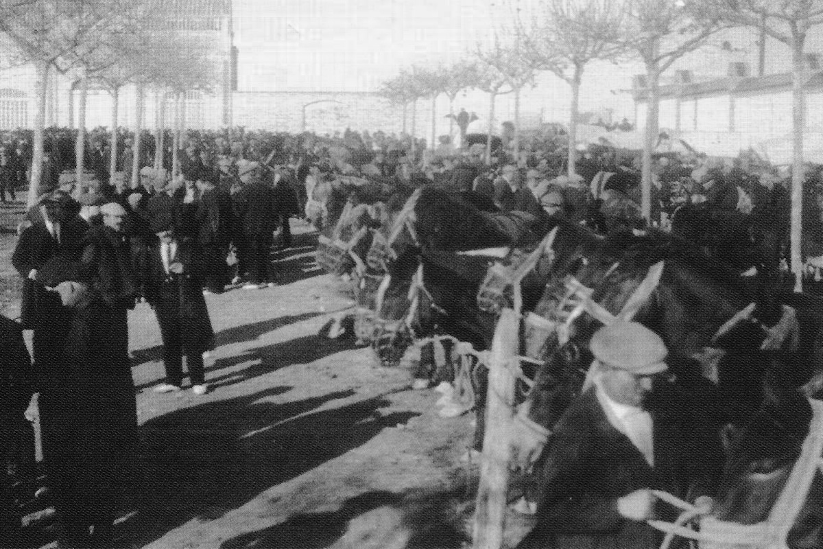 El firal de bestiar a la plaça de l'escorxador als anys 20