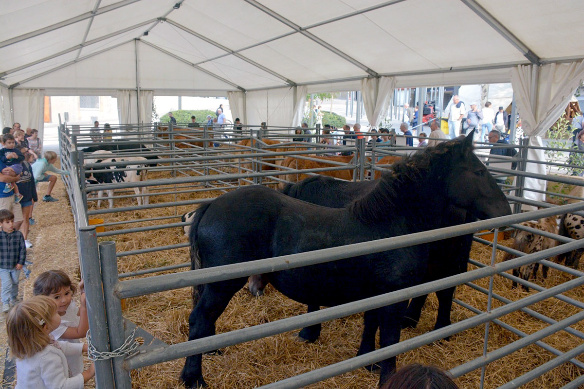 La mostra de bestiar