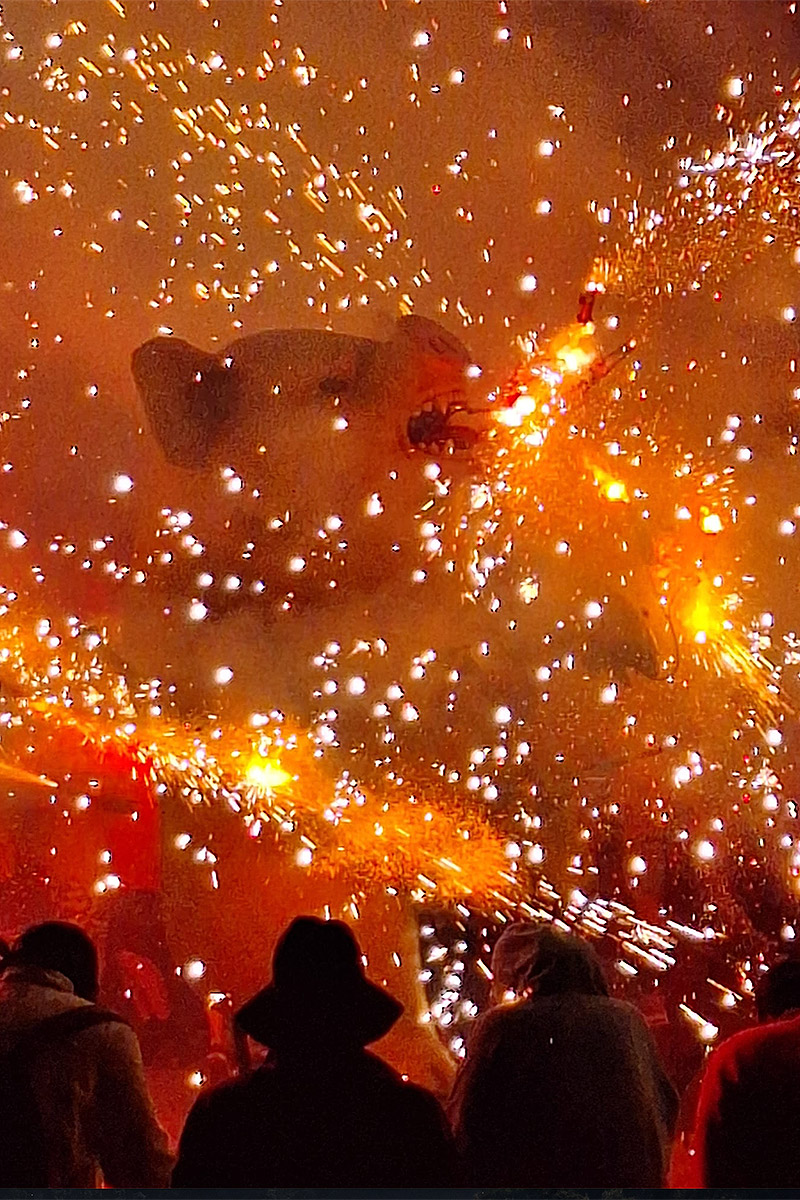 Correfoc de bèsties