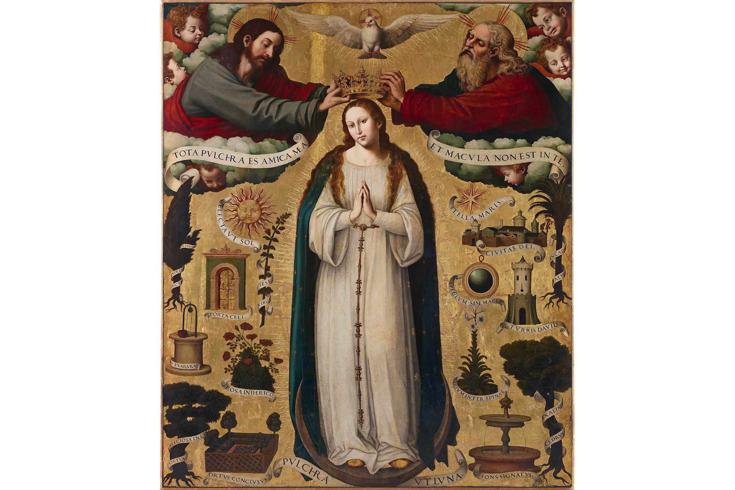 Immaculada Concepció, pintura de Joan Macip Navarro (1537)
