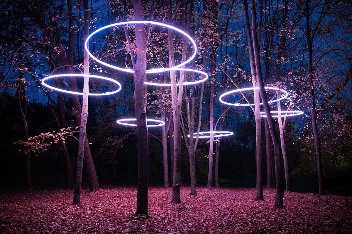 Anells lumínics en un bosc. Foto: Jordi Buch Costa