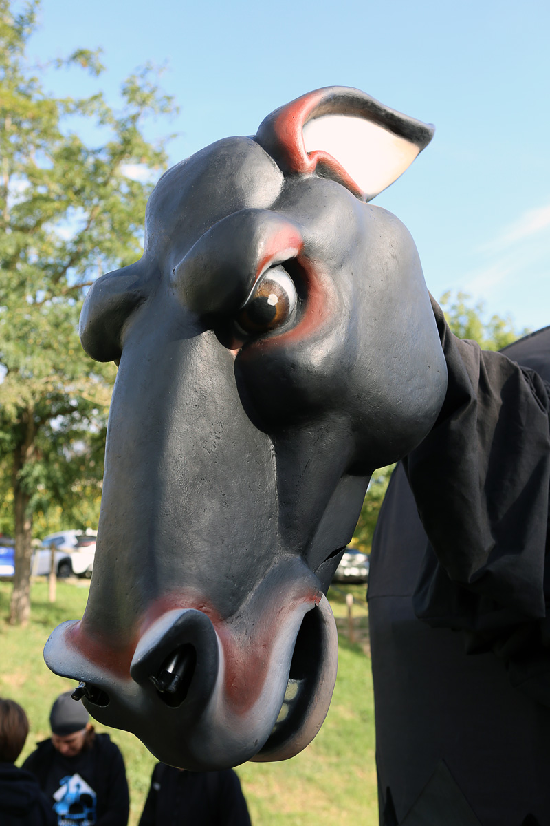 La Mula Baba té un rostre molt expressiu