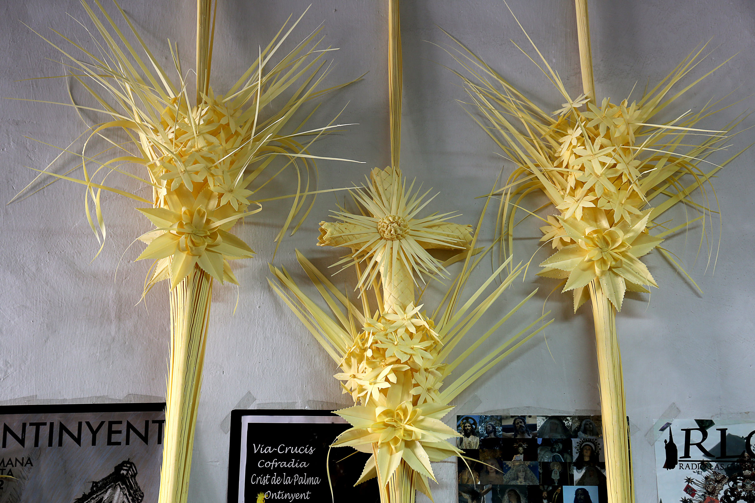 Palmes i palmons
