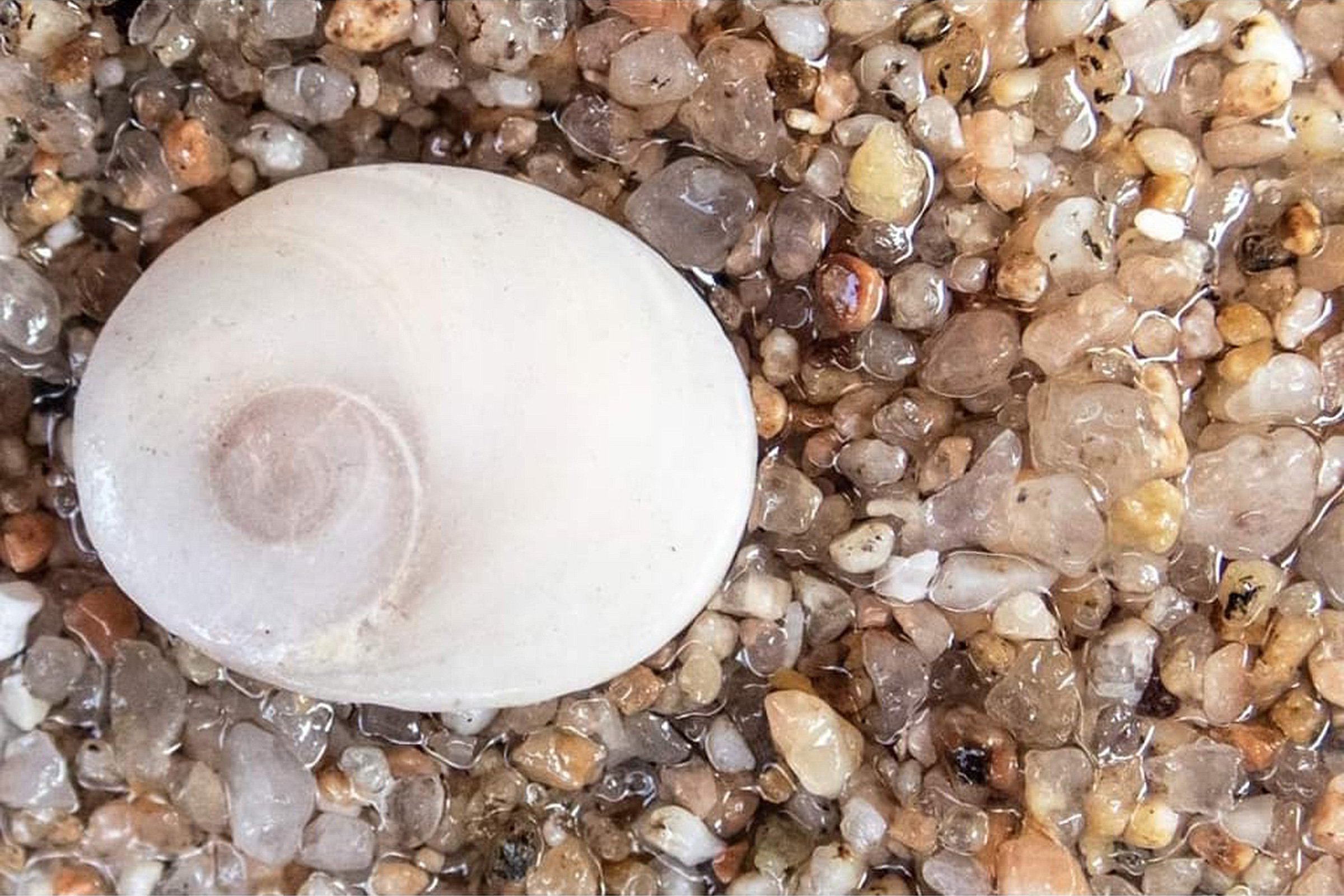 Ulls de Santa Llúcia