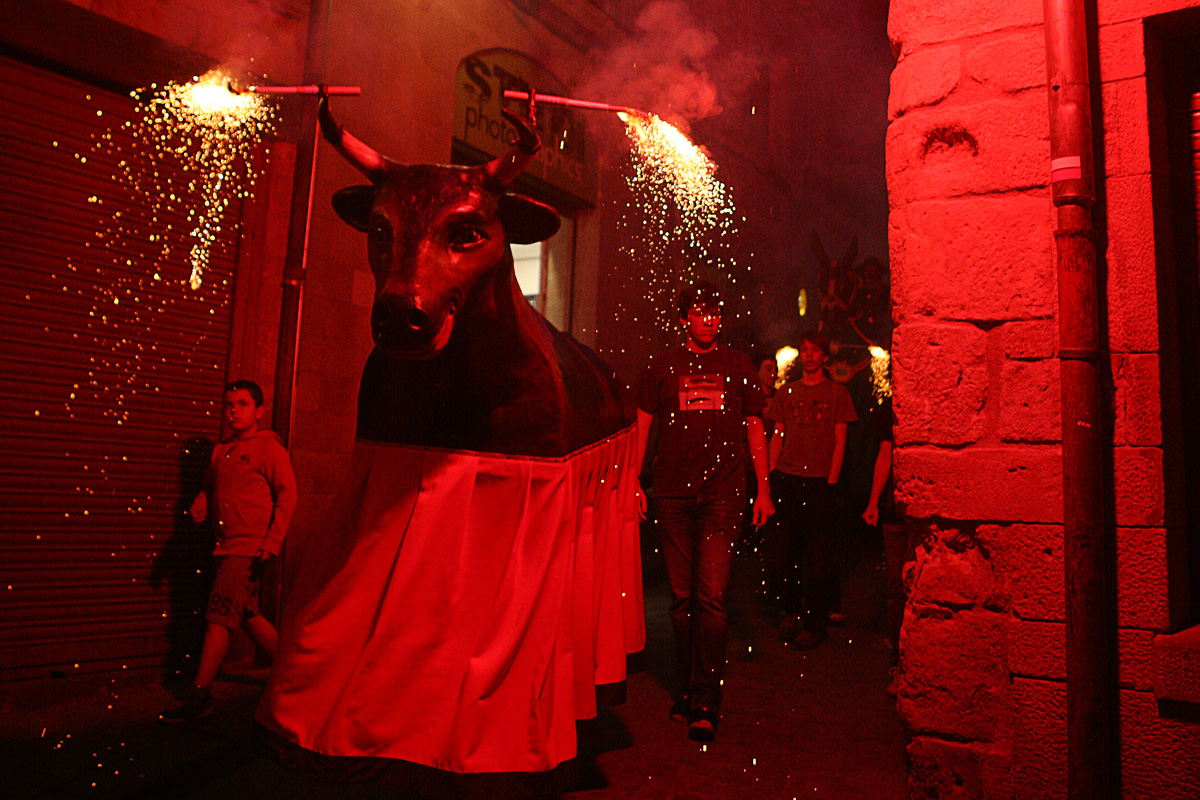 El bou durant la Baixada