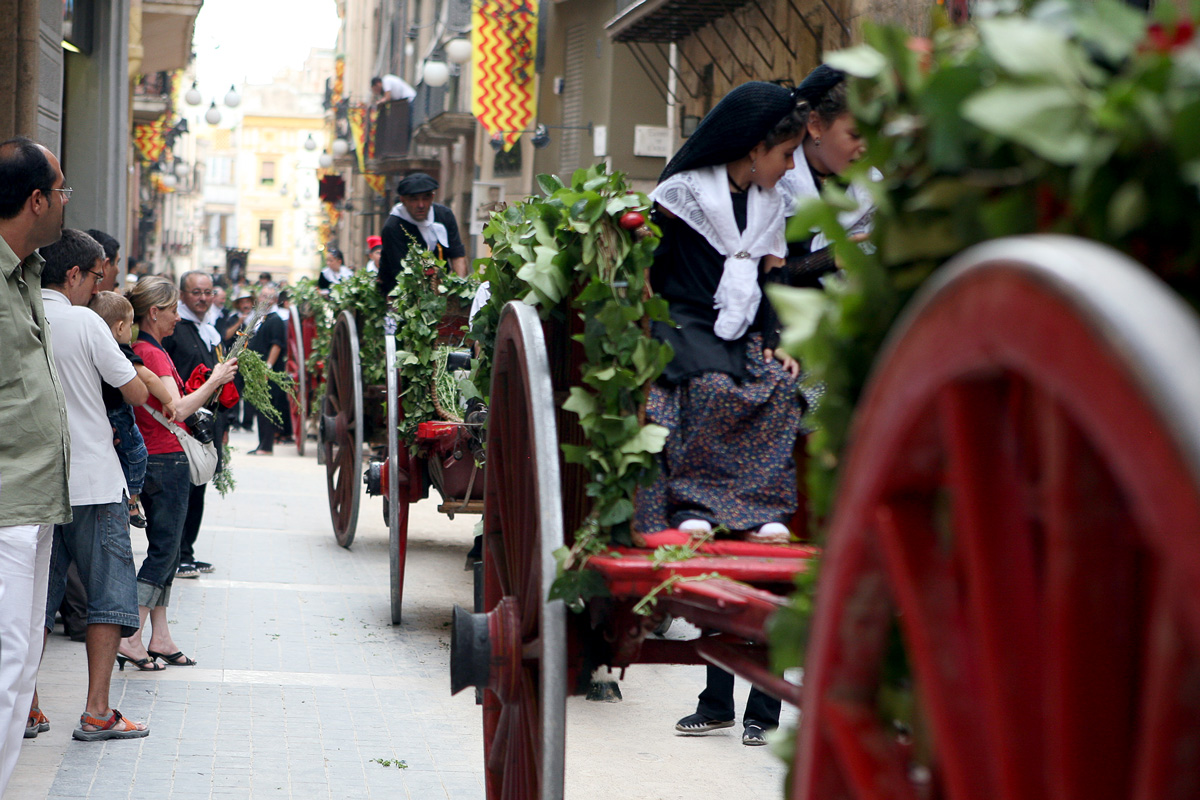 Carros dels portants