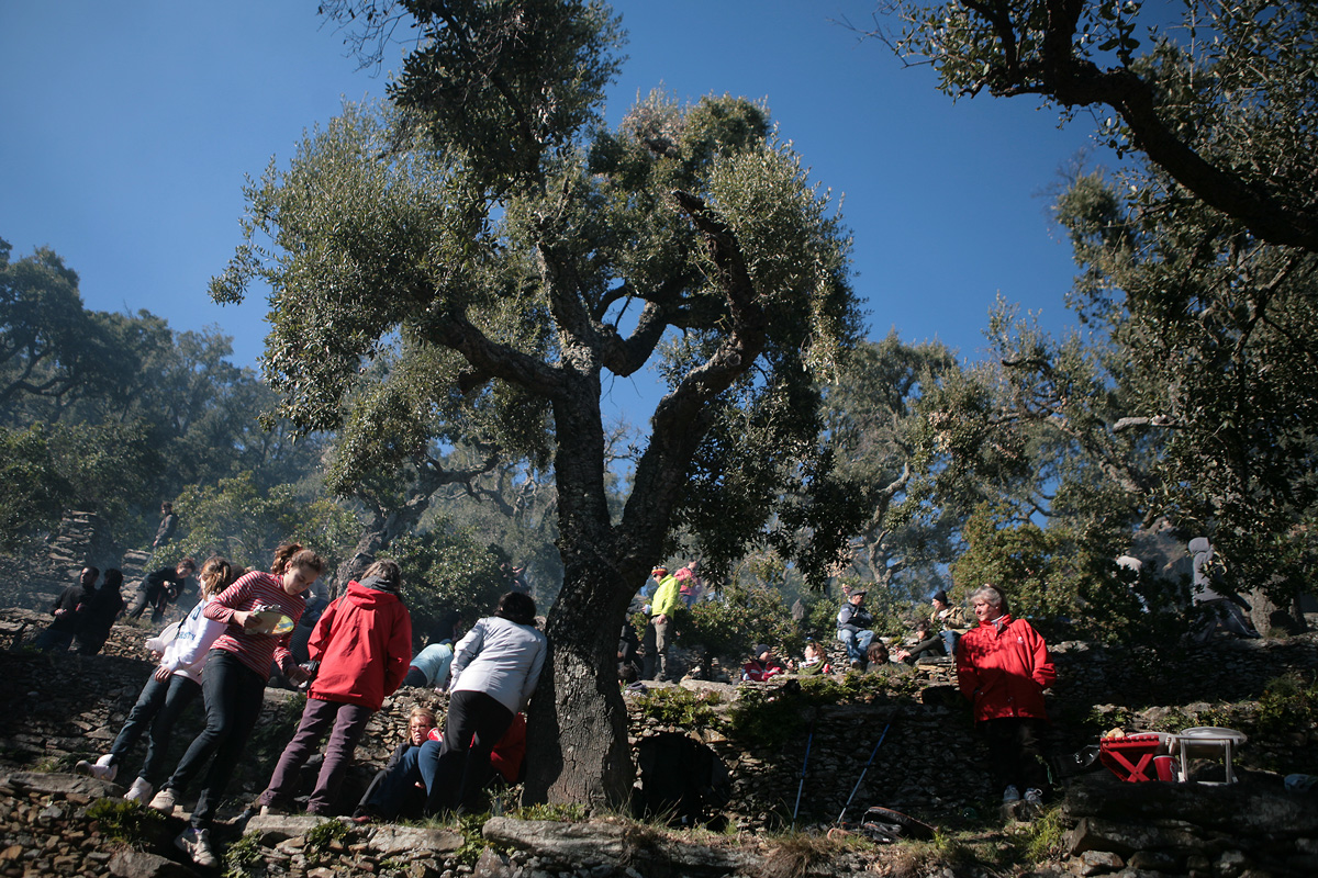 Dinar entre alzines i pedra seca