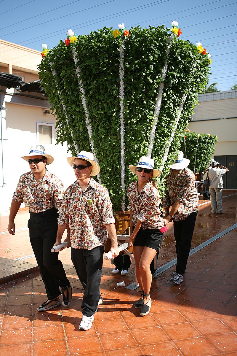 Les alfabegueres gegants de Bétera