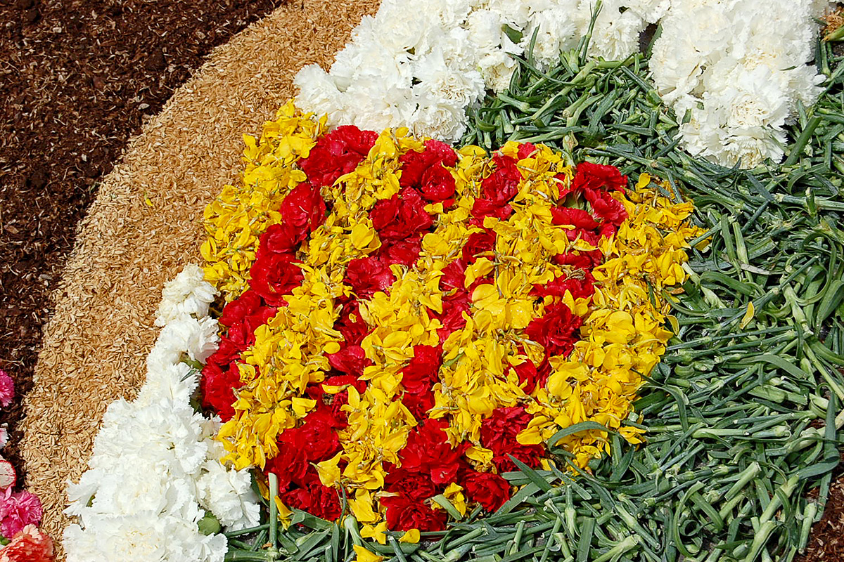 Els colors de la senyera. Foto: Susanna Ginesta