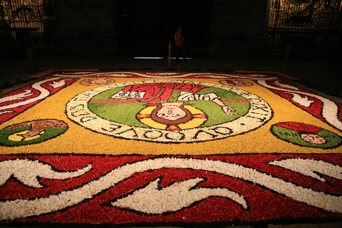 Catifa amb ginesta a la Catedral de Girona