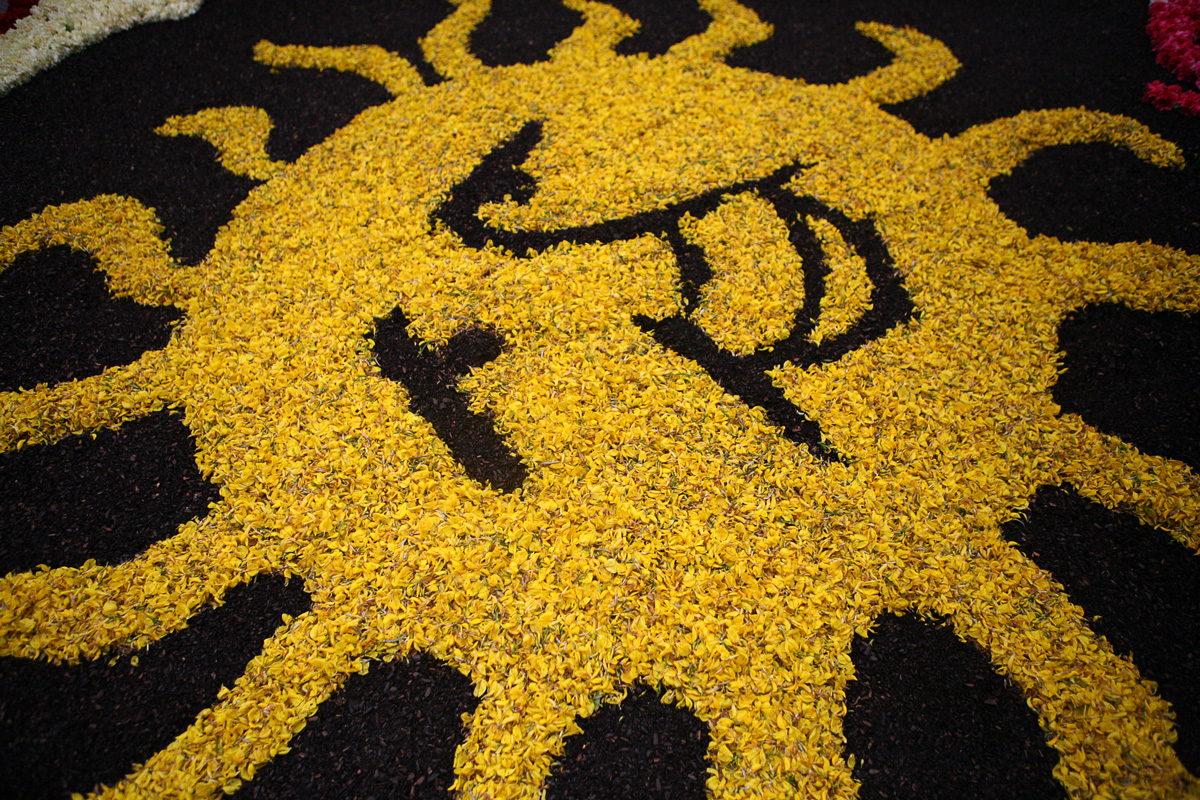 Catifa a La Garriga