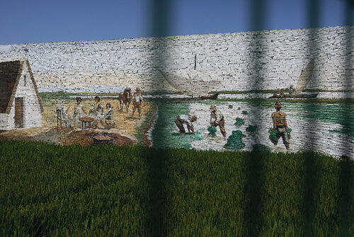 Mural dedicat als arrossaires