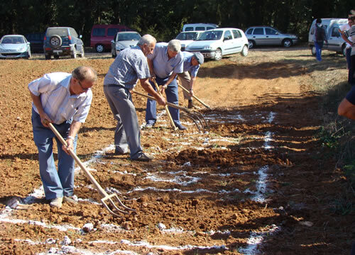 Concurs de Fangar 2009