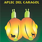 Cartell de l'Aplec 2005