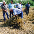 Fent garbes, l'any 1998