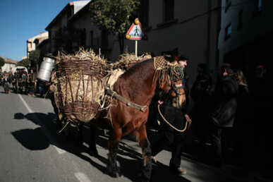 Espècie d'arganells