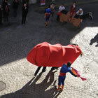 El bou vermell Foto: Robert Bosch