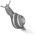 Dibuix