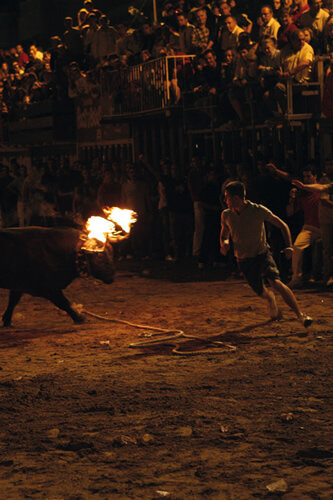 Intentant esquivar el bou i el foc