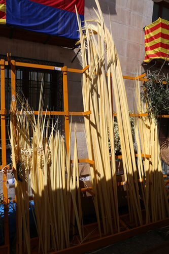 Palmons llisos en una parada