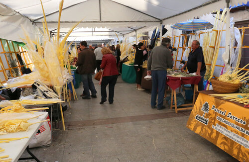Parades de palmes i palmons davant l'Ajuntament