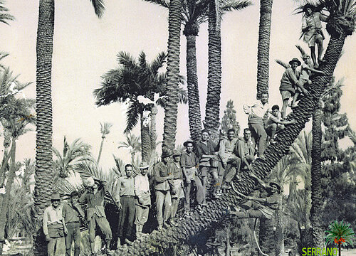 Fotografia antiga d'un grup de palmers (Serrano Valero)