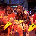 Les gallines, reagrupades