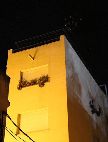 Des d'alguns terrats i balcons en plouen carmels