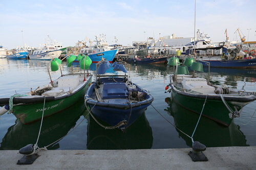 Barques de pesca a la llum