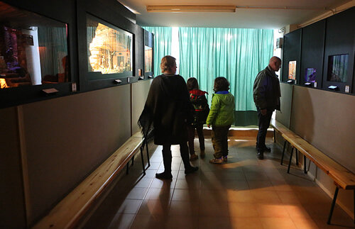 Mirant els diorames