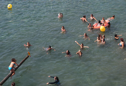 Intentant arribar al pollastre