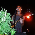 Els concerts de nit
