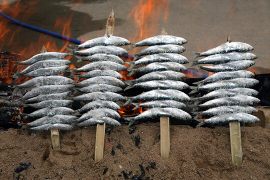 Sardines a la brasa a l'Escala