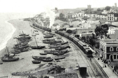 Sardinals varats a la platja de Sant Pol