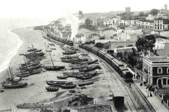Sardinals varats a la platja de Sant Pol