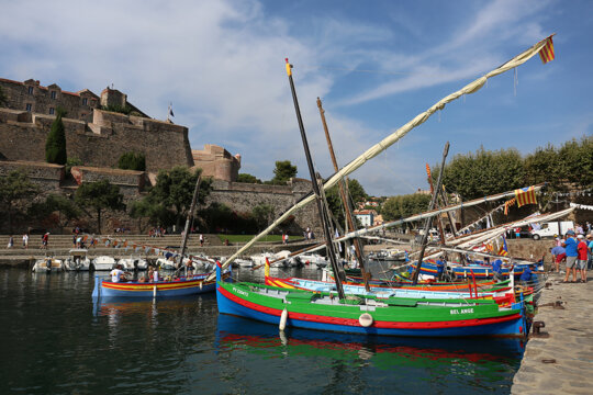 Sardinals a Cotlliure
