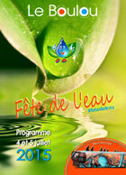 Cartell de l'any 2015