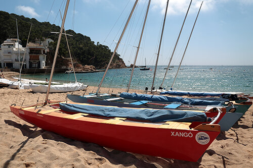 Patins en una platja