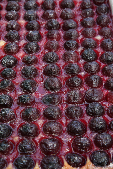 Coca amb cireres (Miravet)