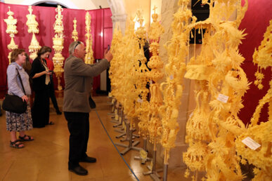 Els visitants poden gaudir de les palmes de ben aprop