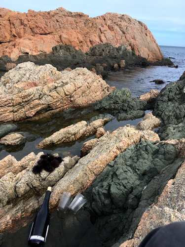 Vi i garoines arran de mar