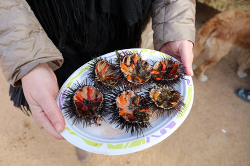 Plat amb garoines