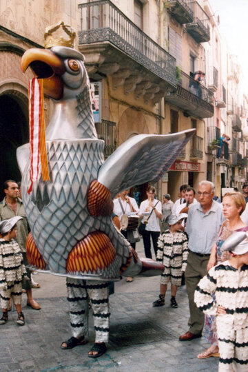 Aspecte actual de l'Àliga