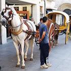 Els carros de la Capta