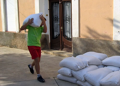 Prova de camàlics