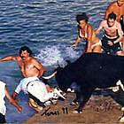 Bous a la mar
