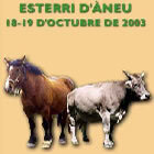 Cartell de l'edició 2003
