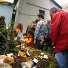 Exposició de bolets