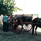 El carro amb què es porta el raïm